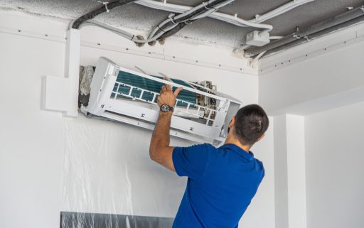 IMG_3374_1 IMG_3374_1